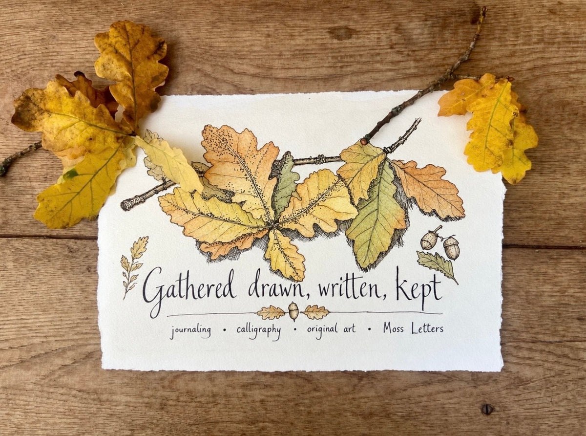 Gathered, drawn, written, kept