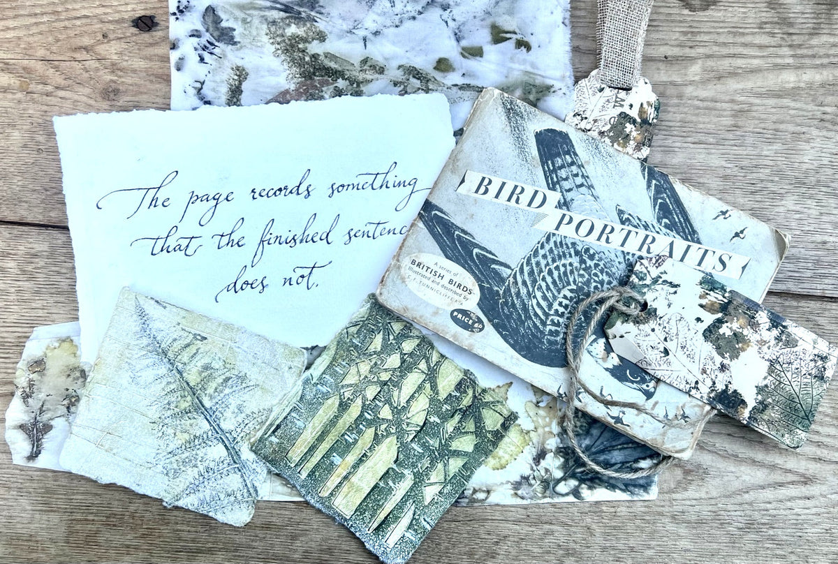 Handwritten reflection beside botanical artworks and vintage bird book