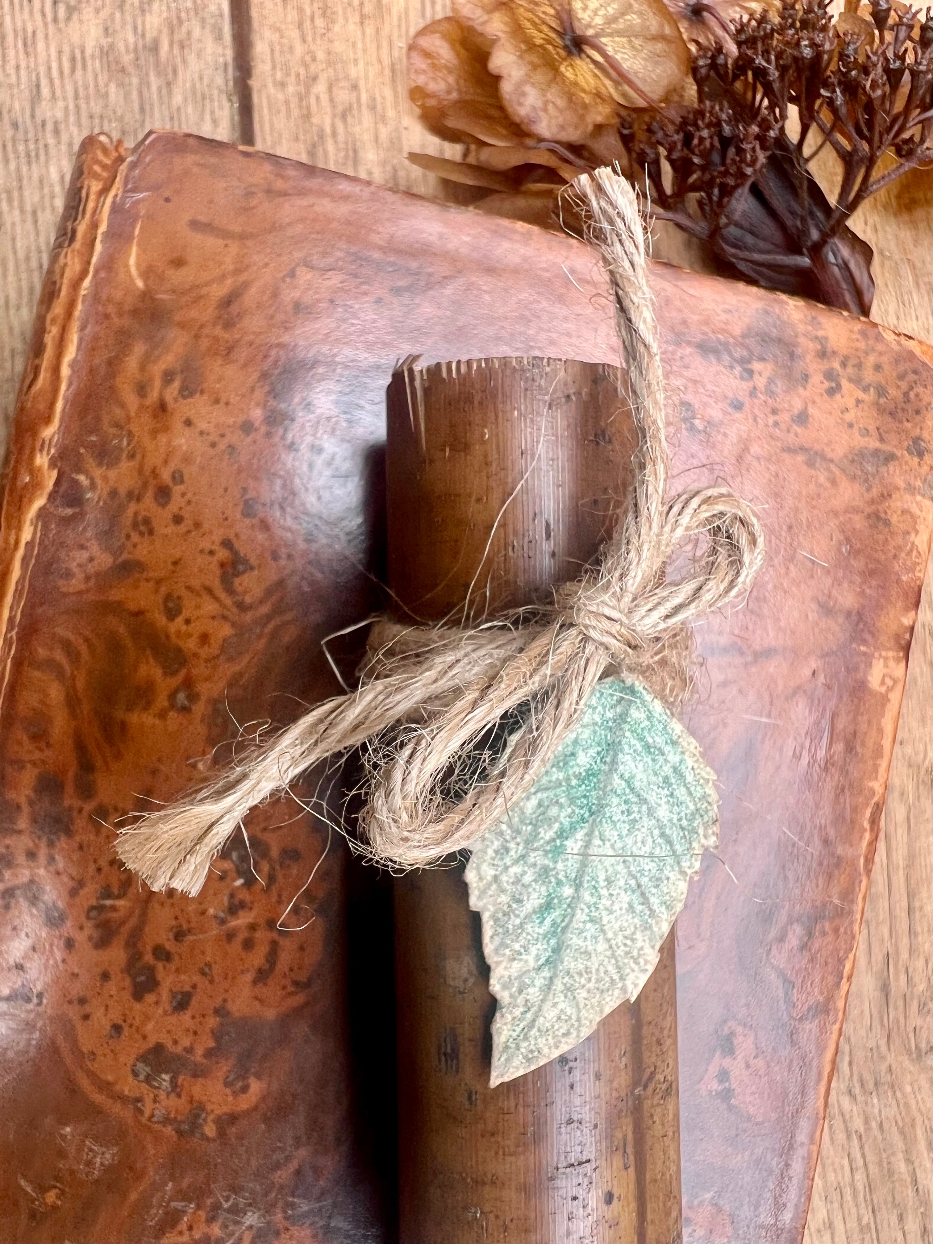 A Message in the Bamboo