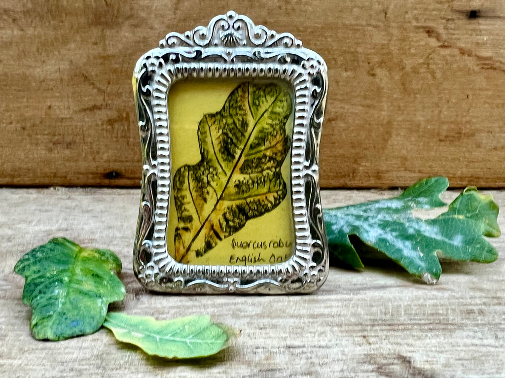Portrait of an Oak Leaf | Original Botanical Art in Vintage Miniature Frame
