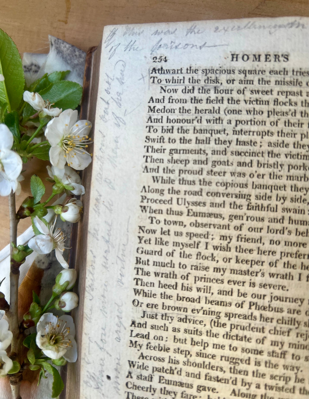 A genuine antique 1806 edition of The Odyssey of Homer, translated by Alexander Pope and printed in London.