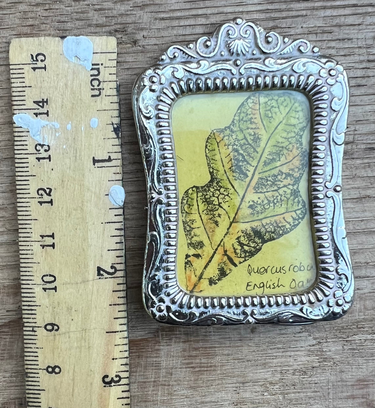 Portrait of an Oak Leaf | Original Botanical Art in Vintage Miniature Frame