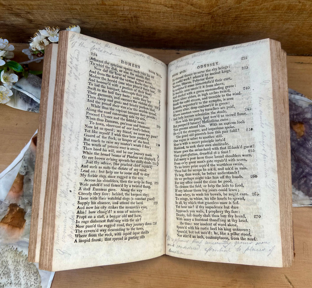 A genuine antique 1806 edition of The Odyssey of Homer, translated by Alexander Pope and printed in London.