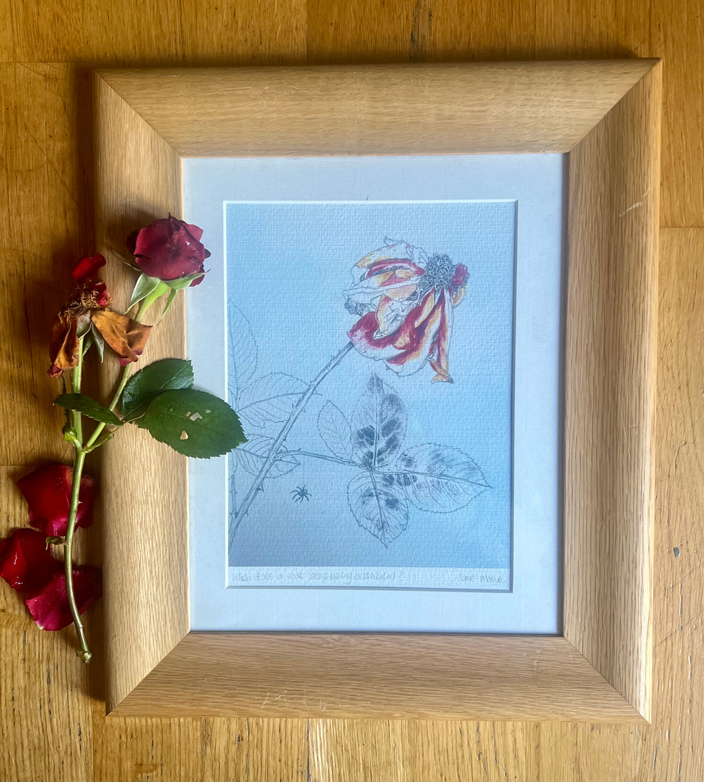 Faded Rose — Fine Art Print in Vintage Oak Frame